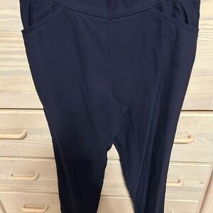 Counterparts Women's Dark Blue cropped pants